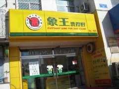 選擇象王：有限投資無(wú)限回報(bào)